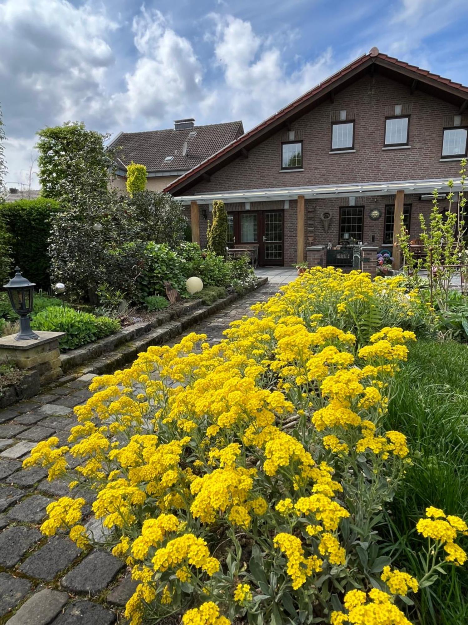 Ferienwohnung Jansen Selfkant Exterior foto