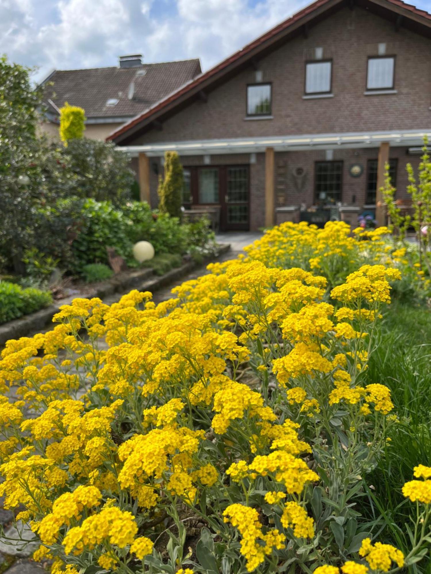 Ferienwohnung Jansen Selfkant Exterior foto